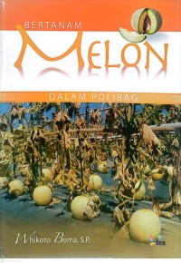 Image of Bertanam Melon dalam Polibag