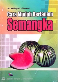 Image of Cara Mudah Bertanam Semangka